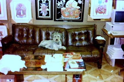Image #74
